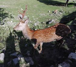 Гамсутль \ Верхний Гуниб \ Дагестан \\